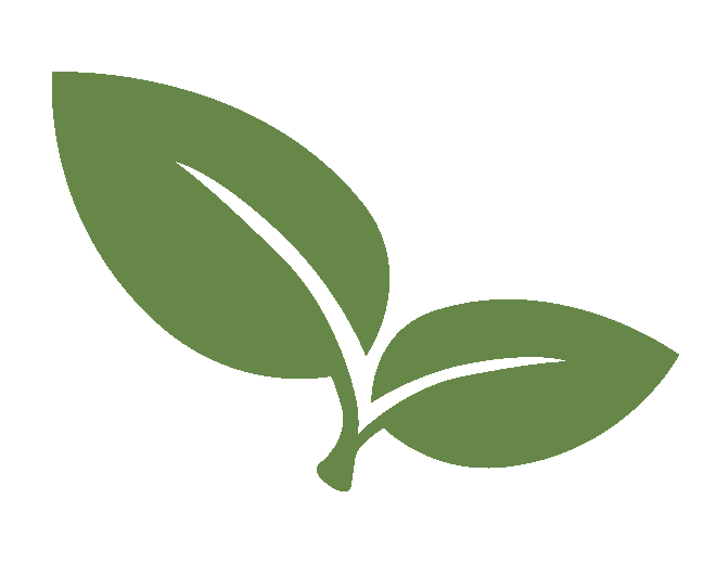 green leaf icon